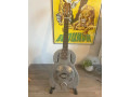 rezonatornaia-gitara-small-0