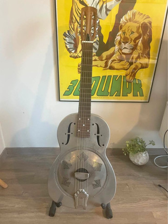 rezonatornaia-gitara-big-0